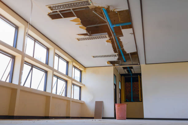Best Professional water damage repair  in Huber Ridge, OH