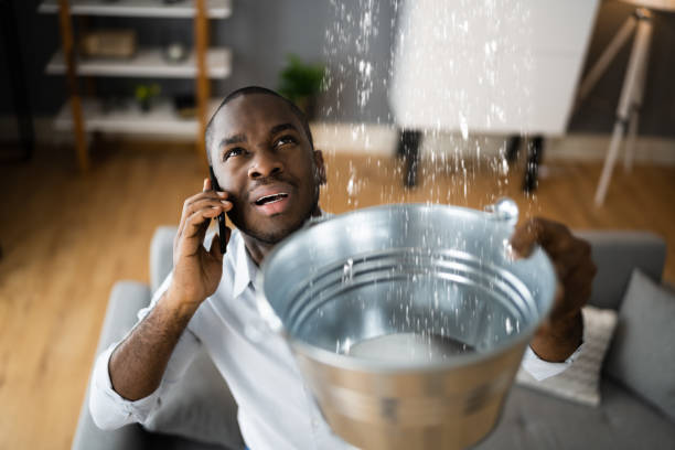 Best Flood damage cleanup  in Huber Ridge, OH
