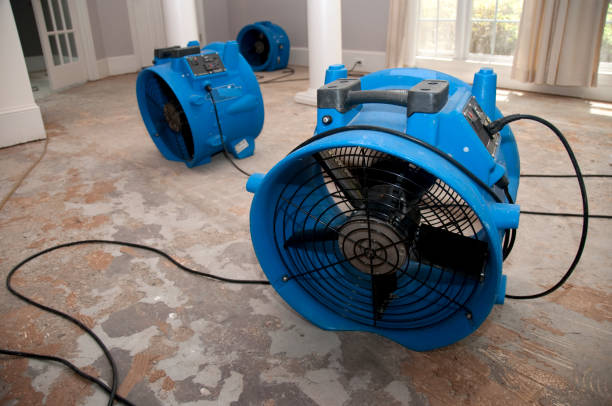 Best 24-hour water damage restoration  in Huber Ridge, OH