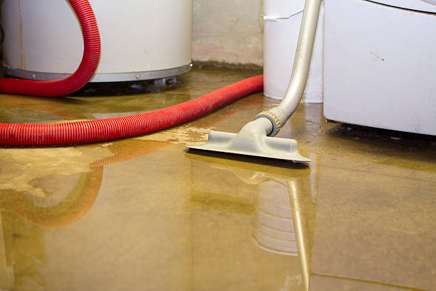 Best 24/7 water damage repair  in Huber Ridge, OH