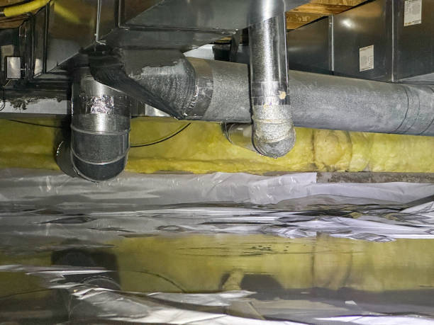 Best Water damage repair service  in Huber Ridge, OH