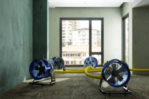 Best Sewage cleanup and water damage restoration  in Huber Ridge, OH